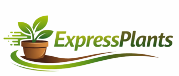 Express Plants